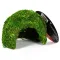 Схованка з моху Repti-Zoo Natural Mossy Dome S 11x10см (ERS25S) — Фото 10