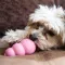 Іграшка KONG Puppy груша-годівниця для цуценят малих порід, S — Фото 7