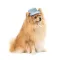 Панама Pet Fashion для собак Blue M — Фото 5