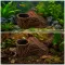 Декорація Hobby Root Wood Cave 2 19x14x8см для акваріума і тераріуму (41791) — Фото 9