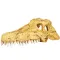 Крокодилячий череп Repti-Zoo Crocodile Skull S 11x6x4см (ERS34S) — Фото 6