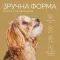 Джерки Savory Puppy Coins With Turkey, монетки для цуценят з індичкою, 100 г — Фото 11