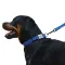 Нашийник для Собак BronzeDog Active Нейлоновий зі Світловідбиттям та Металевою Пряжкою Синій L — Фото 7