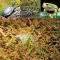 Сфагновий мох Repti-Zoo Sphagnum moss 100г. 4.5л. (SB031) — Фото 13