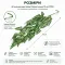 Штучна рослина Hobby Climber Aureum 70 см (37725) для тераріуму, акватераріуму та палюдаріуму — Фото 6