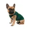 Борцівка Pet Fashion «Sun Please» для собак, розмір M2, зелена — Фото 3