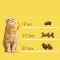 Сухий корм FRISKIES для дорослих котів з яловичиною, куркою і овочами 10 кг — Фото 13