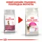 Сухий корм Royal Canin EXIGENT AROMATIC для котів всіх порід 2 кг — Фото 9