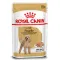 Royal Canin Poodle Adult - Вологий корм для дорослих собак породи Пудель 85 г — Фото 3