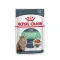 Вологий корм Royal Canin DIGEST SENSITIVE для котів всіх порід 85 г — Фото 6