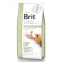 Сухий корм Brit GF VetDiet Dog Diabetes для собак, при цукровому діабеті, з індичкою та горохом, 12 кг Сухий корм Brit GF VetDiet Dog Diabetes для собак, при цукровому діабеті, з індичкою та горохом, 12 кг