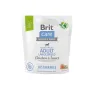 Сухий корм Brit Care Dog Sustainable Adult Large Breed для собак великих порід, з куркою та комахами, 1 кг Сухий корм Brit Care Dog Sustainable Adult Large Breed для собак великих порід, з куркою та комахами, 1 кг
