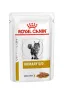 Дієтичний вологий корм Royal Canin URINARY S/O CAT (шматочки у соусі) для котів 85 г Дієтичний вологий корм Royal Canin URINARY S/O CAT (шматочки у соусі) для котів 85 г