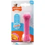 Nylabone Puppy Chew Dental Bone НІЛАБОН ДЕНТАЛ БОУН жувальна іграшка кістка для цуценят, смак курки XS, для цуценят до 7 кг Nylabone Puppy Chew Dental Bone НІЛАБОН ДЕНТАЛ БОУН жувальна іграшка кістка для цуценят, смак курки XS, для цуценят до 7 кг