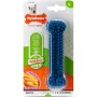 Nylabone Moderate Chew Dental Bone НІЛАБОН ДЕНТАЛ БОУН жувальна іграшка для собак, смак курки S, для собак до 11 кг Nylabone Moderate Chew Dental Bone НІЛАБОН ДЕНТАЛ БОУН жувальна іграшка для собак, смак курки S, для собак до 11 кг