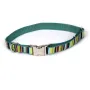 Coastal Pet Attire Ribbon КОСТАЛ РІББОН нашийник для собак, 2.5х46-66см Мультиколор Coastal Pet Attire Ribbon КОСТАЛ РІББОН нашийник для собак, 2.5х46-66см Мультиколор