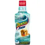 SynergyLabs Dental Fresh СИНЕРДЖІ ЛАБС СВІЖІСТЬ ЗУБІВ рідина від зубного нальоту і запаху з пащі собак і котів 0,237 л SynergyLabs Dental Fresh СИНЕРДЖІ ЛАБС СВІЖІСТЬ ЗУБІВ рідина від зубного нальоту і запаху з пащі собак і котів 0,237 л