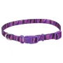 Coastal Pet Attire Styles КОСТАЛ СТАЙЛС нашийник для собак, 1х12-30см Пурпурний Coastal Pet Attire Styles КОСТАЛ СТАЙЛС нашийник для собак, 1х12-30см Пурпурний