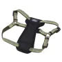 Coastal K9 Explorer Harness КОСТАЛ К9 ЕКСПЛОРЕР світловідбивна шлея з нагрудником для собак 11.3-22.6кг Папороть Coastal K9 Explorer Harness КОСТАЛ К9 ЕКСПЛОРЕР світловідбивна шлея з нагрудником для собак 11.3-22.6кг Папороть