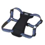 Coastal K9 Explorer Harness КОСТАЛ К9 ЕКСПЛОРЕР світловідбивна шлея з нагрудником для собак 11.3-22.6кг Сапфіровий Coastal K9 Explorer Harness КОСТАЛ К9 ЕКСПЛОРЕР світловідбивна шлея з нагрудником для собак 11.3-22.6кг Сапфіровий
