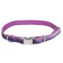 Coastal Pet Attire Sparkles КОСТАЛ СПАРКЛЕС нашийник для собак, 1х20-30см Фіолетовий Coastal Pet Attire Sparkles КОСТАЛ СПАРКЛЕС нашийник для собак, 1х20-30см Фіолетовий