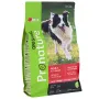Pronature Original Adult Lamb ПРОНАТЮР ОРІДЖИНАЛ ЯГНЯ сухий корм для собак 2,27 кг Pronature Original Adult Lamb ПРОНАТЮР ОРІДЖИНАЛ ЯГНЯ сухий корм для собак 2,27 кг