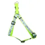 Coastal Lazer Brite КОСТАЛ ЛАЗЕР БРАЙТ світловідбивна шлея для собак, 1.6х48-66см Конюшина Coastal Lazer Brite КОСТАЛ ЛАЗЕР БРАЙТ світловідбивна шлея для собак, 1.6х48-66см Конюшина
