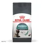 Сухий корм Royal Canin HAIRBALL CARE для котів всіх порід 0,4 кг Сухий корм Royal Canin HAIRBALL CARE для котів всіх порід 0,4 кг
