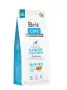 Сухий корм Brit Care Dog Grain-free Junior Large Breed для молодих собак великих порід, беззерновий з лососем, 12 кг Сухий корм Brit Care Dog Grain-free Junior Large Breed для молодих собак великих порід, беззерновий з лососем, 12 кг