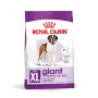 Сухий корм Royal Canin GIANT ADULT для дорослих собак гігантських порід 4 кг Сухий корм Royal Canin GIANT ADULT для дорослих собак гігантських порід 4 кг