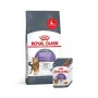 Сухий корм Royal Canin APPETITE CONTROL для котів всіх порід 2 кг + 4 WET Appetite Control Gravy 85г Сухий корм Royal Canin APPETITE CONTROL для котів всіх порід 2 кг + 4 WET Appetite Control Gravy 85г