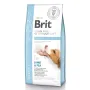 Сухий корм Brit GF VetDiet Dog Obesity для собак, корекція ваги, з ягням, індичкою та горохом, 12 кг Сухий корм Brit GF VetDiet Dog Obesity для собак, корекція ваги, з ягням, індичкою та горохом, 12 кг