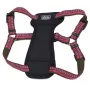Coastal K9 Explorer Harness КОСТАЛ К9 ЕКСПЛОРЕР світловідбивна шлея з нагрудником для собак 2.3-4.5кг Малиновий Coastal K9 Explorer Harness КОСТАЛ К9 ЕКСПЛОРЕР світловідбивна шлея з нагрудником для собак 2.3-4.5кг Малиновий