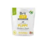 Сухий корм Brit Care Dog Sustainable Puppy для цуценят, з куркою та комахами, 1 кг Сухий корм Brit Care Dog Sustainable Puppy для цуценят, з куркою та комахами, 1 кг