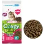 Versele-Laga Crispy Pellets Chinchillas & Degus ВЕРСЕЛЕ-ЛАГА КРІСПІ ШИНШИЛА ДЕГУ корм для шиншил та дегу 1 кг Versele-Laga Crispy Pellets Chinchillas & Degus ВЕРСЕЛЕ-ЛАГА КРІСПІ ШИНШИЛА ДЕГУ корм для шиншил та дегу 1 кг