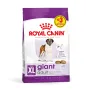 Сухий корм Royal Canin GIANT ADULT для дорослих собак гігантських порід 12кг+3кг Сухий корм Royal Canin GIANT ADULT для дорослих собак гігантських порід 12кг+3кг
