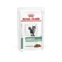 Дієтичний вологий корм Royal Canin DIABETIC CAT (шматочки у соусі) для котів 85 г Дієтичний вологий корм Royal Canin DIABETIC CAT (шматочки у соусі) для котів 85 г