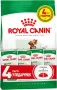 Сухий корм Royal Canin MINI ADULT для дорослих собак малих порід 2 кг + Wet Mini Adult 85 г х 4 шт Сухий корм Royal Canin MINI ADULT для дорослих собак малих порід 2 кг + Wet Mini Adult 85 г х 4 шт