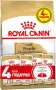 Корм для дорослих собак породи Пудель ROYAL CANIN POODLE ADULT 1.5 кг + 4 WET Poodle Loaf 85г Корм для дорослих собак породи Пудель ROYAL CANIN POODLE ADULT 1.5 кг + 4 WET Poodle Loaf 85г