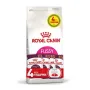 Корм для котів ROYAL CANIN EXIGENT FUSSY з вибагливим апетитом, 2 кг + 4 паучі Корм для котів ROYAL CANIN EXIGENT FUSSY з вибагливим апетитом, 2 кг + 4 паучі