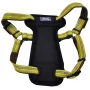 Coastal K9 Explorer Harness КОСТАЛ К9 ЕКСПЛОРЕР світловідбивна шлея з нагрудником для собак 2.3-4.5кг Золотарник Coastal K9 Explorer Harness КОСТАЛ К9 ЕКСПЛОРЕР світловідбивна шлея з нагрудником для собак 2.3-4.5кг Золотарник