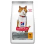 Hill’s Science Plan Adult Sterilised Cat Chicken Сухий корм для дорослих стерилізованих котів, з куркою, 0,3 кг Hill’s Science Plan Adult Sterilised Cat Chicken Сухий корм для дорослих стерилізованих котів, з куркою, 0,3 кг