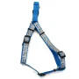 Coastal Lazer Brite КОСТАЛ ЛАЗЕР БРАЙТ світловідбивна шлея для собак, 2.5х66-97см Бірюзовий Coastal Lazer Brite КОСТАЛ ЛАЗЕР БРАЙТ світловідбивна шлея для собак, 2.5х66-97см Бірюзовий