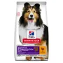 Hill’s Science Plan Adult Sensitive Stomach&Skin Medium Breed Сухий корм при чутливому шлунку та шкірі для дорослих собак середніх порід, з куркою, 2,5 кг Hill’s Science Plan Adult Sensitive Stomach&Skin Medium Breed Сухий корм при чутливому шлунку та шкірі для дорослих собак середніх порід, з куркою, 2,5 кг