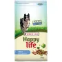 Happy Life Adult with Salmon ХЕППІ ЛАЙФ ЛОСОСЬ сухий преміум корм для собак усіх порід 3 кг Happy Life Adult with Salmon ХЕППІ ЛАЙФ ЛОСОСЬ сухий преміум корм для собак усіх порід 3 кг