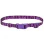 Coastal Pet Attire Styles КОСТАЛ СТАЙЛС нашийник для собак, 2х35-50см Пурпурний Coastal Pet Attire Styles КОСТАЛ СТАЙЛС нашийник для собак, 2х35-50см Пурпурний