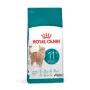 Royal Canin Ageing 11+ Сухий корм для літніх котів віком від 11 років, 2 кг Royal Canin Ageing 11+ Сухий корм для літніх котів віком від 11 років, 2 кг