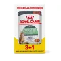 Вологий корм Royal Canin DIGEST SENSITIVE для котів всіх порід 85 г 3+1 Вологий корм Royal Canin DIGEST SENSITIVE для котів всіх порід 85 г 3+1