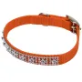 Coastal Jeweled КОСТАЛ нашийник зі стразами для собак Апельсиновий Coastal Jeweled КОСТАЛ нашийник зі стразами для собак Апельсиновий