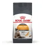 Сухий корм Royal Canin HAIR&SKIN CARE для котів всіх порід 0,4 кг Сухий корм Royal Canin HAIR&SKIN CARE для котів всіх порід 0,4 кг